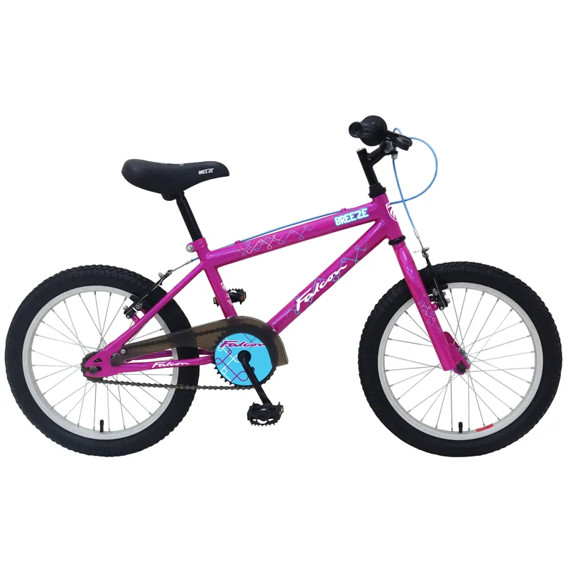 Falcon Breeze 18in Childrens Bike in Purple/Blue