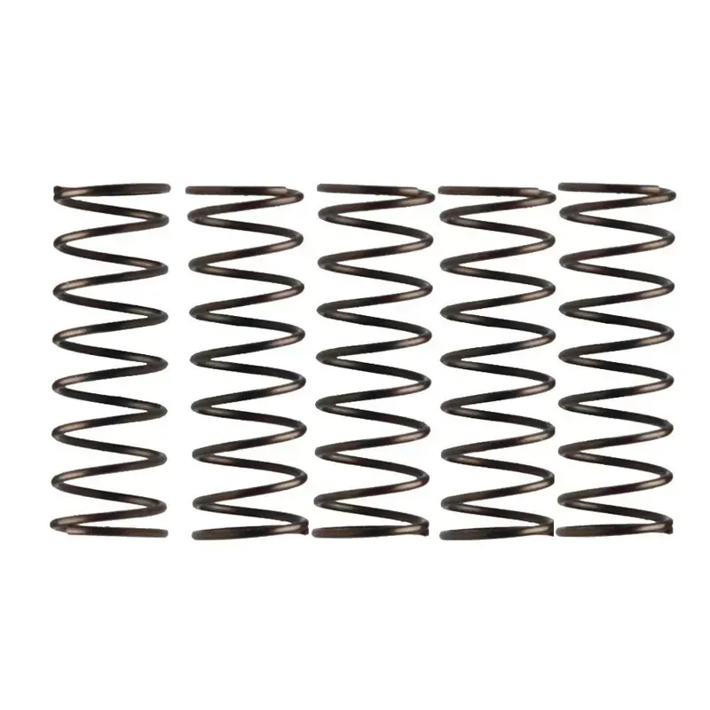 Campagnolo Low End Pre-2004 Pawl Spring in Silver