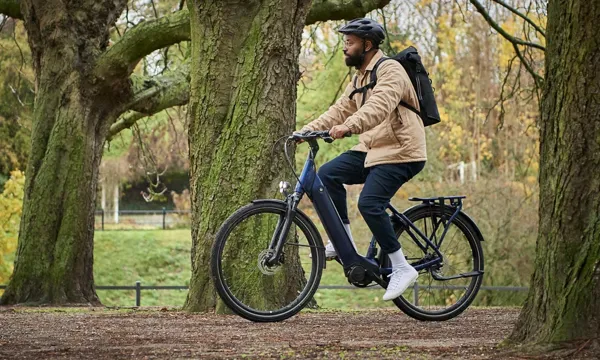 Giant Leisure Bike
