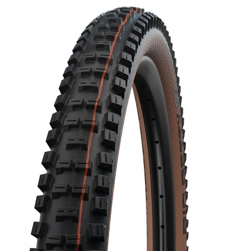 Schwalbe Big Betty Mountain Bike Tyre - 29x2.40